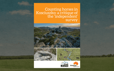 Counting horses in Kosciuszko: a critique of the ‘independent’ survey